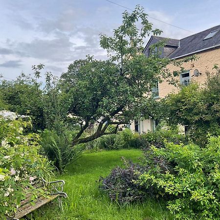 Ynyswen Bed & Breakfast Nantgaredig Buitenkant foto
