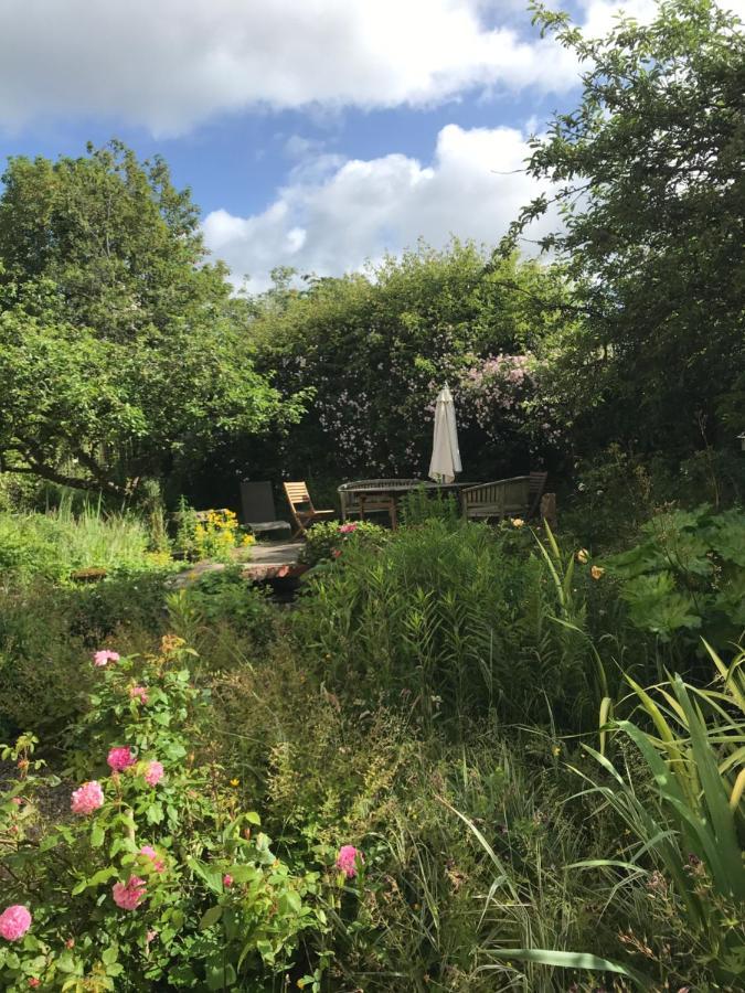 Ynyswen Bed & Breakfast Nantgaredig Buitenkant foto