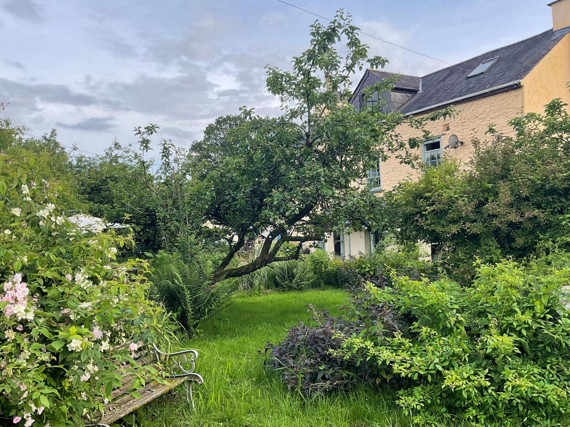 Ynyswen Bed & Breakfast Nantgaredig Buitenkant foto