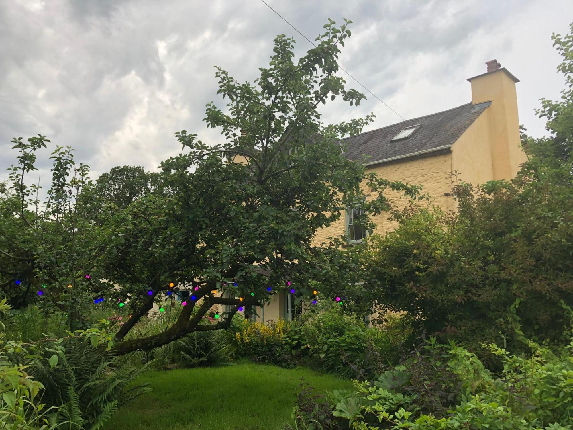 Ynyswen Bed & Breakfast Nantgaredig Buitenkant foto